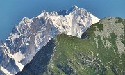 40 Dal verdeggiante Cadelle al bianco Bernina...
